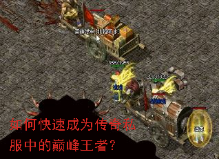 ��ο��ٳ�Ϊ����˽���е��۷����ߣ�