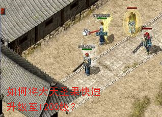 ��ν�����ʥ������������1200����