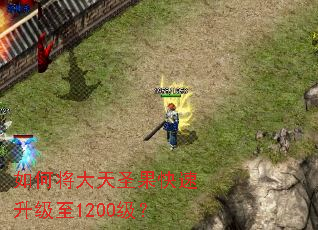 ��ν�����ʥ������������1200����