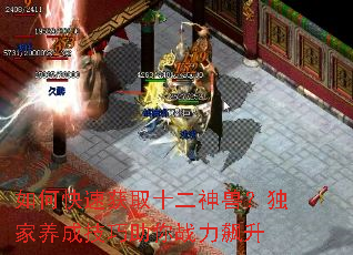 ��ο��ٻ�ȡʮ�����ޣ��������ɼ�������ս�����