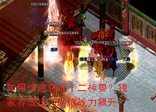 ��ο��ٻ�ȡʮ�����ޣ��������ɼ�������ս�����