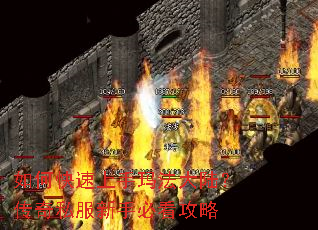 如何快速上手玛法大陆?传奇私服新手必看攻略 如何快速上手玛法大陆?传奇私服新手必看攻略