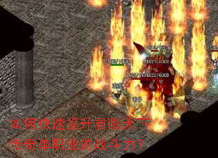 ��ο��������������´��浥ְҵ��ս������