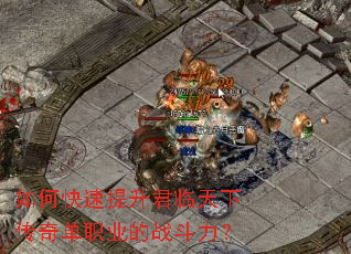 ��ο��������������´��浥ְҵ��ս������