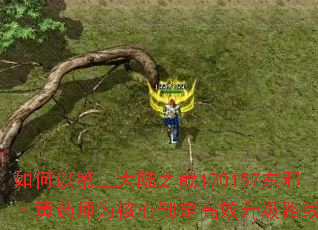 如何以第三大陆之巅170157东邪·黄药师为核心制定高效升级路线? 如何以第三大陆之巅170157东邪·黄药师为核心制定高效升级路线?