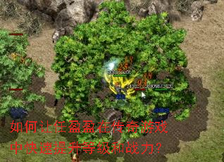 �������ӯӯ�ڴ�����Ϸ�п��������ȼ���ս����