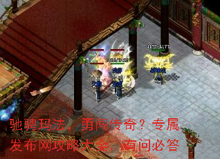 �۳��귨���´����棿ר�����������Դ�ȫ�����ʱش�