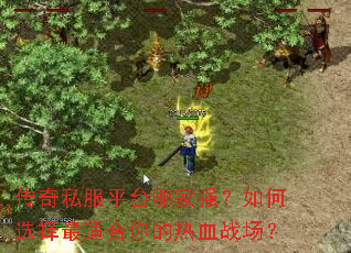 ����˽��ƽ̨�ļ�ǿ�����ѡ�����ʺ������Ѫս����