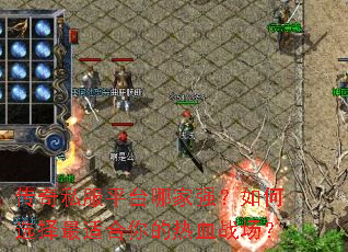 ����˽��ƽ̨�ļ�ǿ�����ѡ�����ʺ������Ѫս����