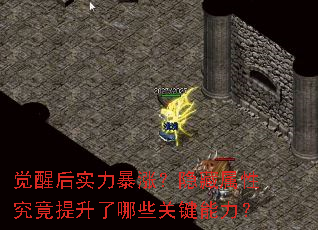 觉醒后实力暴涨?隐藏属性究竟提升了哪些关键能力? 觉醒后实力暴涨?隐藏属性究竟提升了哪些关键能力?