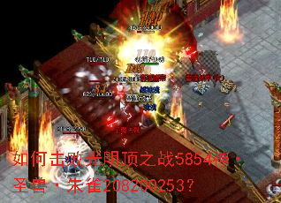 如何击败光明顶之战5854神·圣兽·朱雀208200253? 如何击败光明顶之战5854神·圣兽·朱雀208200253?