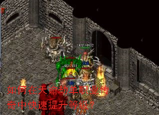 ��������ͽٵ�ְҵ�����п��������ȼ���