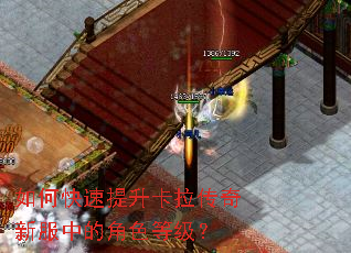 如何快速提升卡拉传奇新服中的角色等级? 如何快速提升卡拉传奇新服中的角色等级?