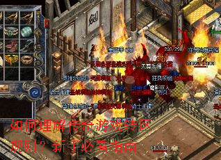 ������⴫����Ϸת���������ֱؿ�ָ��