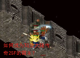 ��γ�Ϊ�귨��½����2SF�İ�����