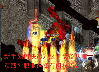 ������ο���������װ�����Ļ�ȡ��ְҵѡ���кμ��ɣ�