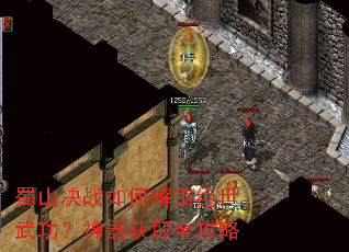 ��ɽ��ս��ν��������书��������ȡȫ����