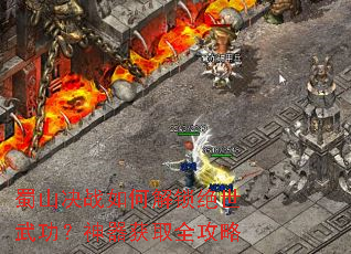 ��ɽ��ս��ν��������书��������ȡȫ����