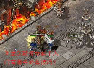 ʥ����Ĭ����������������Щ�ر����ɣ�