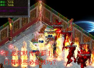 ʥ����Ĭ����������������Щ�ر����ɣ�