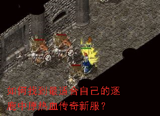 ����ҵ����ʺ��Լ�����¹��ԭ��Ѫ�����·���