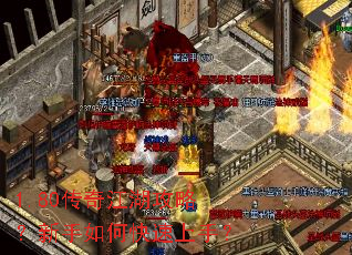 1.80���潭�����ԣ�������ο������֣�