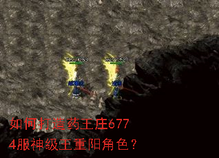 ��δ���ҩ��ׯ6774������������ɫ��