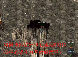 ��ο����������ɽ��802100249��ս�������۷徳�磿