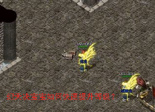 �����������ο��������ȼ���