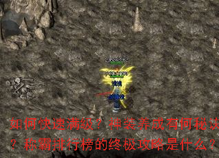 如何快速满级?神装养成有何秘诀?称霸排行榜的终极攻略是什么? 如何快速满级?神装养成有何秘诀?称霸排行榜的终极攻略是什么?