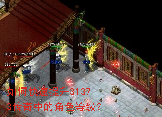 如何快速提升31373传奇中的角色等级? 如何快速提升31373传奇中的角色等级?