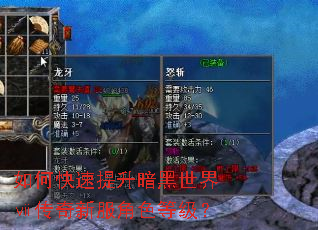 如何快速提升暗黑世界ⅶ传奇新服角色等级? 如何快速提升暗黑世界ⅶ传奇新服角色等级?