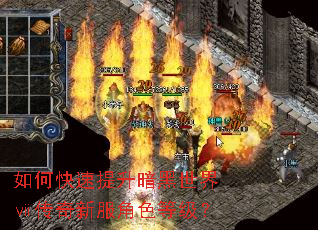 如何快速提升暗黑世界ⅶ传奇新服角色等级? 如何快速提升暗黑世界ⅶ传奇新服角色等级?
