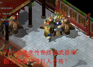 为什么迷失传奇终极武器唤醒元素后打怪打人不疼? 为什么迷失传奇终极武器唤醒元素后打怪打人不疼?
