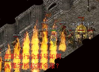 单职业行会封号如何选择才能称霸全服? 单职业行会封号如何选择才能称霸全服?