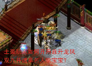 土豪玩家如何开局直升龙凤双九并速拿名人堂宝宝? 土豪玩家如何开局直升龙凤双九并速拿名人堂宝宝?