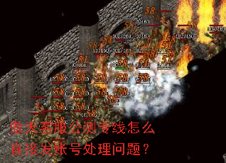 傲天客服公测专线怎么直接发账号处理问题? 傲天客服公测专线怎么直接发账号处理问题?
