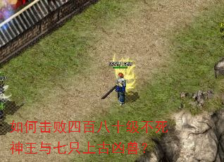如何击败四百八十级不死神王与七只上古凶兽? 如何击败四百八十级不死神王与七只上古凶兽?