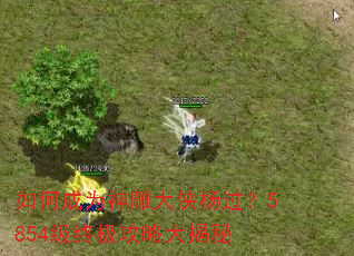 如何成为神雕大侠杨过?5854级终极攻略大揭秘 如何成为神雕大侠杨过?5854级终极攻略大揭秘