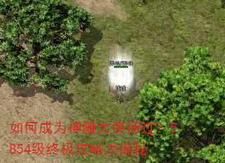 如何成为神雕大侠杨过?5854级终极攻略大揭秘 如何成为神雕大侠杨过?5854级终极攻略大揭秘