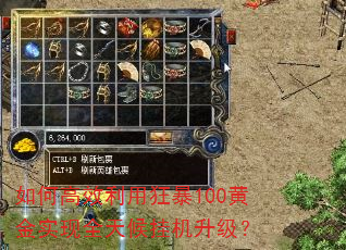 如何高效利用狂暴100黄金实现全天候挂机升级? 如何高效利用狂暴100黄金实现全天候挂机升级?