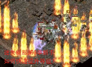 迷失新服第3季新手如何快速提升等级? 迷失新服第3季新手如何快速提升等级?