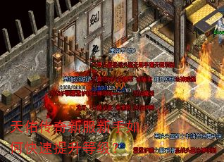 天佑传奇新服新手如何快速提升等级? 天佑传奇新服新手如何快速提升等级?
