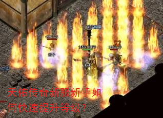 天佑传奇新服新手如何快速提升等级? 天佑传奇新服新手如何快速提升等级?