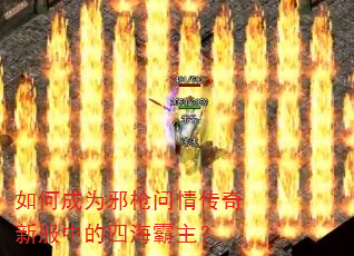 如何成为邪枪问情传奇新服中的四海霸主? 如何成为邪枪问情传奇新服中的四海霸主?