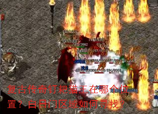 ���Ŵ��涤��è�����ĸ�λ�ã��������������Ѱ�ң�