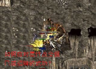 如何应对属性改变但已成招牌的武功? 如何应对属性改变但已成招牌的武功?