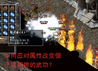 如何应对属性改变但已成招牌的武功? 如何应对属性改变但已成招牌的武功?