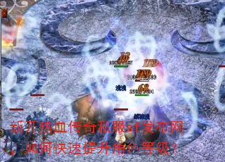 �¿���Ѫ����˽��sf����������ο���������ɫ�ȼ���