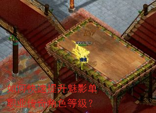 如何快速提升魅影单职业传奇角色等级? 如何快速提升魅影单职业传奇角色等级?